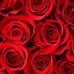 Debra Coulter - Facebook