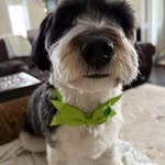 Debra Coulter - @dacoult - Instagram