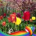 Deb Courtright - Facebook
