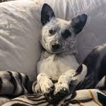 Debra Crabtree - @crabbymom4 - Instagram