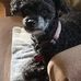 Debra Crabtree-Runde - Facebook