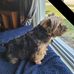 Debra Craddock - Facebook