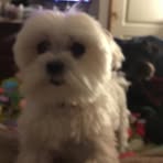 Deb Crager - Facebook