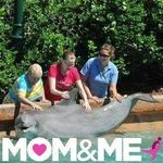 Debra Cramer - @debra.cramer.76 - Instagram