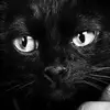 debracrane1967 - @debracrane3 - TikTok