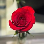 Debra Crawford - @debracrawford11 - Instagram