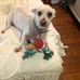 Debra Crawford - Facebook