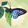 Debra Creech - @debra.creech98 - TikTok