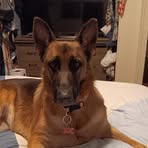 Debra Creekmore - Facebook