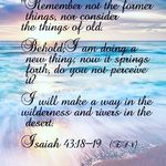 Debra Crider - @doveycrider7741 - Instagram