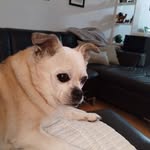 Debra Crider - @crider708 - Instagram