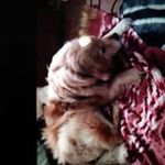 Debra Crisp Knowles - @crispknowles - Instagram