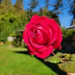 Debra Croft - @croft7795 - Instagram
