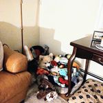 Debra Croft - @debra.croft - Instagram
