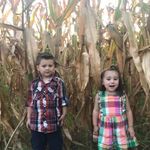 Debra Cross - @cross2277 - Instagram