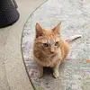 Debra Cross - @debra.cross80 - TikTok