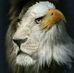 Debra Crum - Facebook