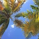 Deborah Cullen - @debtcullen - Instagram