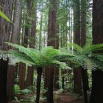 Debra Cullen - @dble_dn2cs - Instagram
