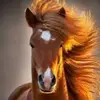 debracullen573 - @debracullen573 - TikTok