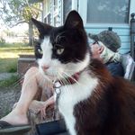 Debra Davidson - @debradavidson244 - Instagram