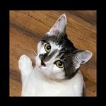 Debra Davidson - @debra.davidson.50 - Instagram