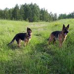 Debra Davidson - @debra.davidson2 - Instagram