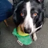 Debra Dawson - @debra.dawson3 - TikTok