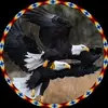 Debra Denny - @user543618024 - TikTok