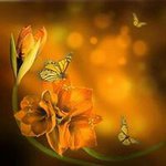 Debra Denson - @densondebra - Instagram