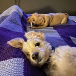 Debra Denton - @deb_denton2002 - Instagram