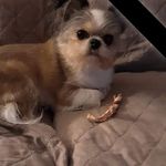 Debra Denton - @debra.denton.1238 - Instagram
