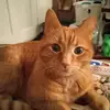 Debra Denton - @debradenton550 - TikTok