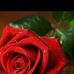 Debra Debo - Facebook