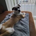 Debra Depew - @debradepew - Instagram