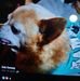 Deb Dewey - Facebook