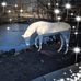 Debra Diamond - Facebook