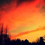 Debra Dibble - @debra.dibble - Instagram