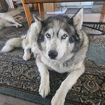 Debra Dibble Flanders - @debra.flanders - Instagram