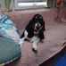 Debra Dickens - Facebook