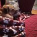 Debbie Diggs - Facebook