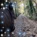 Debbie Dodds - Facebook