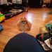 Debra Dodson - Facebook
