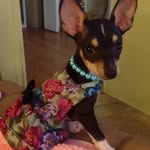 Debra Dodson - @debra.dodson.1232 - Instagram