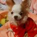 Debra Dodson - Facebook