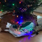 Debra Dodson Doskocil - @debradodsondoskocil - Instagram