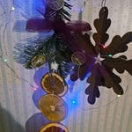 Debra K Dolliver - @debramv - Instagram