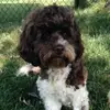 Debra Donald-Reed - @debra.donaldreed - TikTok