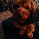 Debra Donaldson - @donaldson9843 - Instagram