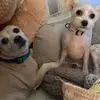 debradonaldson11 - @debradonaldson11 - TikTok